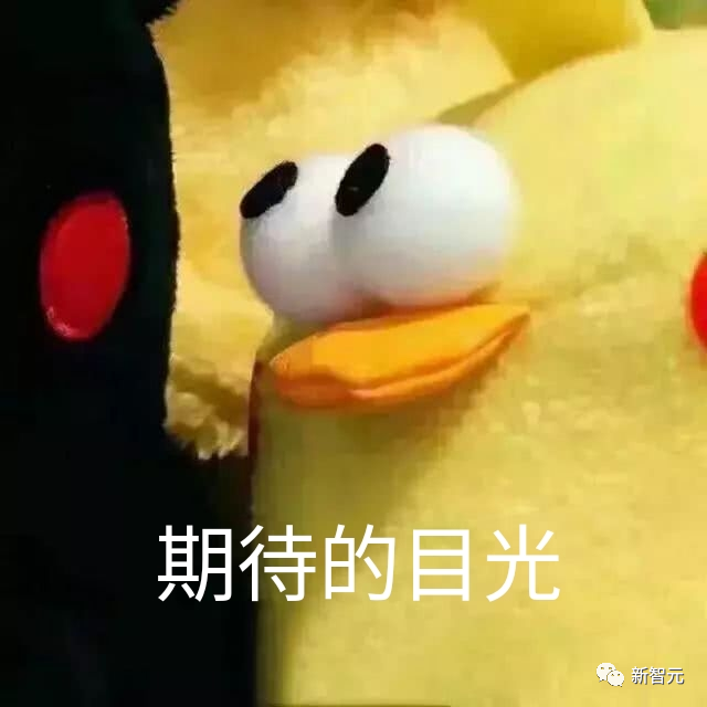 微信图片_20240516132039