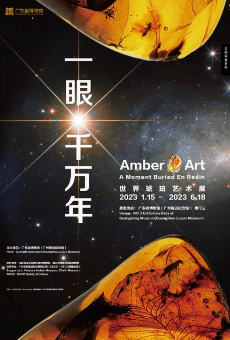微信图片_20240516104830 微信图片_20240516104830