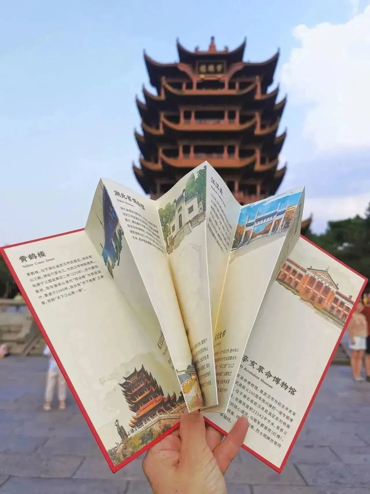 微信图片_20241013165129