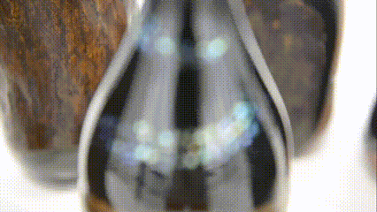 copy_A67BB846-1339-4564-8B06-8807F2CCBAC1